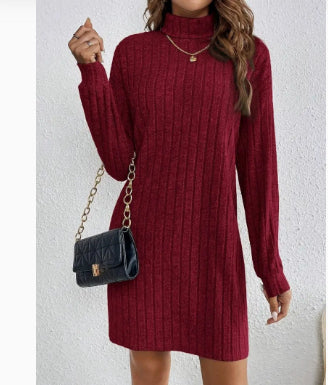 Felicity Smith | Ribbed Turtleneck Knit Mini Dress