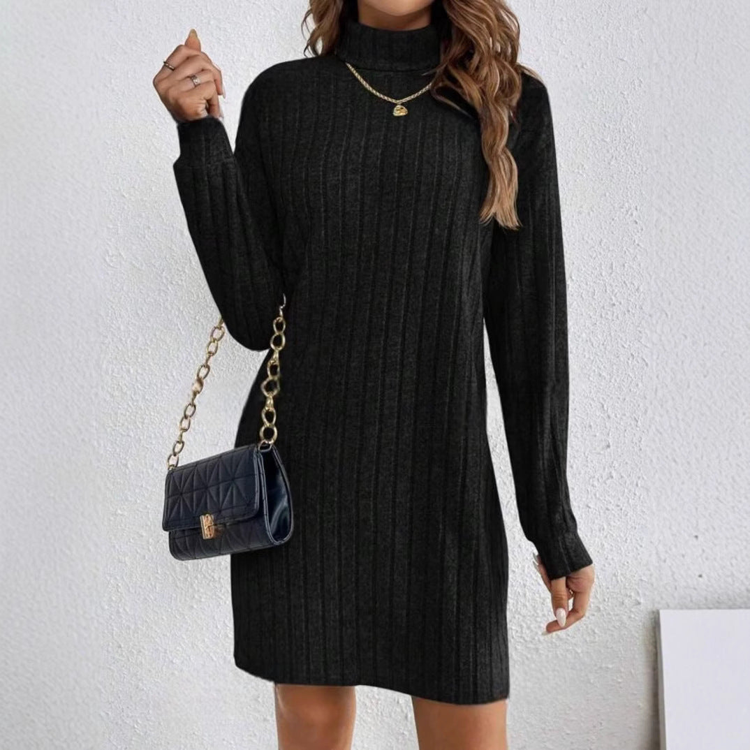 Felicity Smith | Ribbed Turtleneck Knit Mini Dress